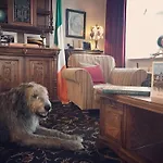 Milltown House Hotel 5*