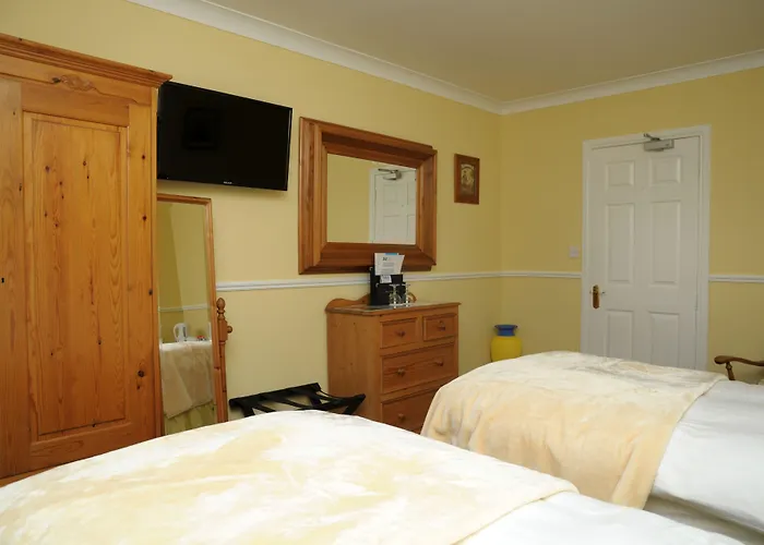 ホテル Milltown House 5*