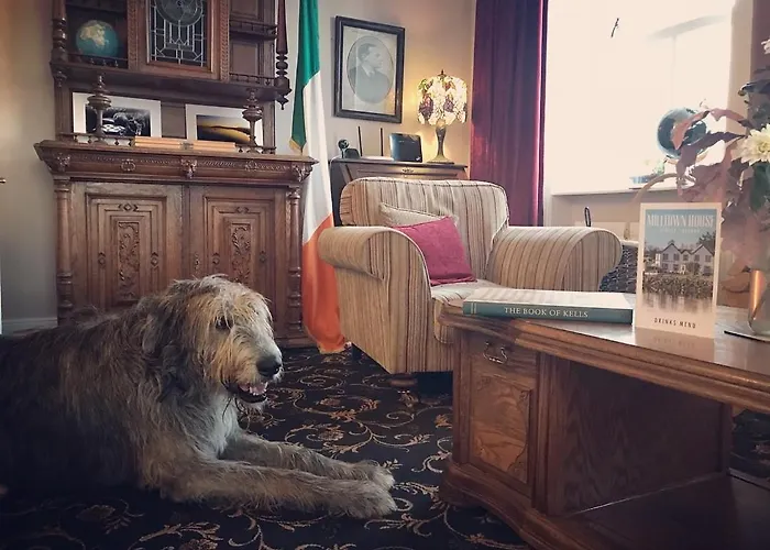 Milltown House Otel 5*
